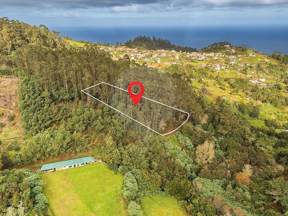 Helårsgrund i Santana, Madeira - foto 1