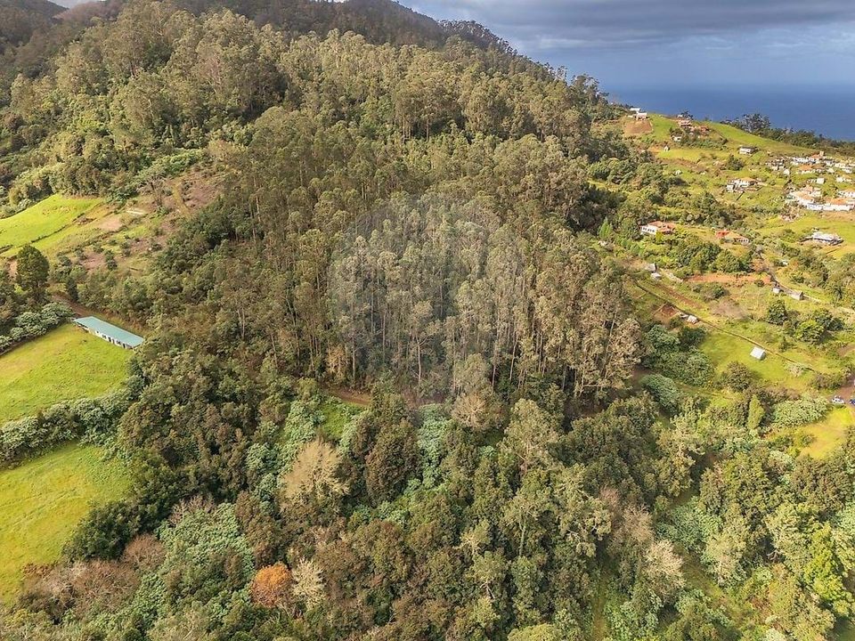 Helårsgrund i Santana, Madeira - foto 3