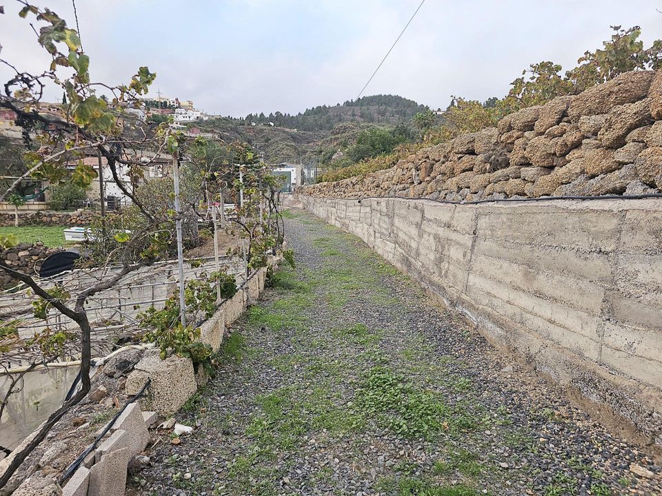 Helårsgrund i Granadilla, Tenerife - foto 2