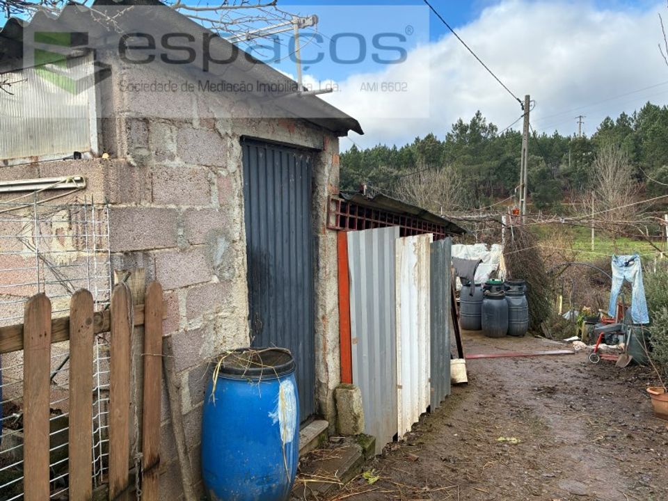 Gård i Peso e Vales do Rio, Castelo Branco - bilde 4
