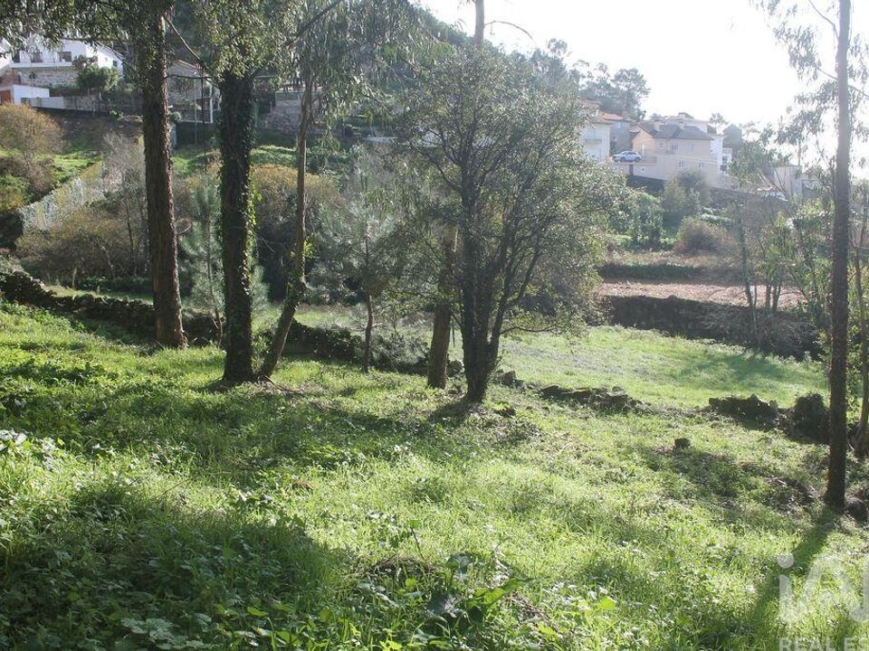 Helårsgrund i Esposende, Braga - foto 4