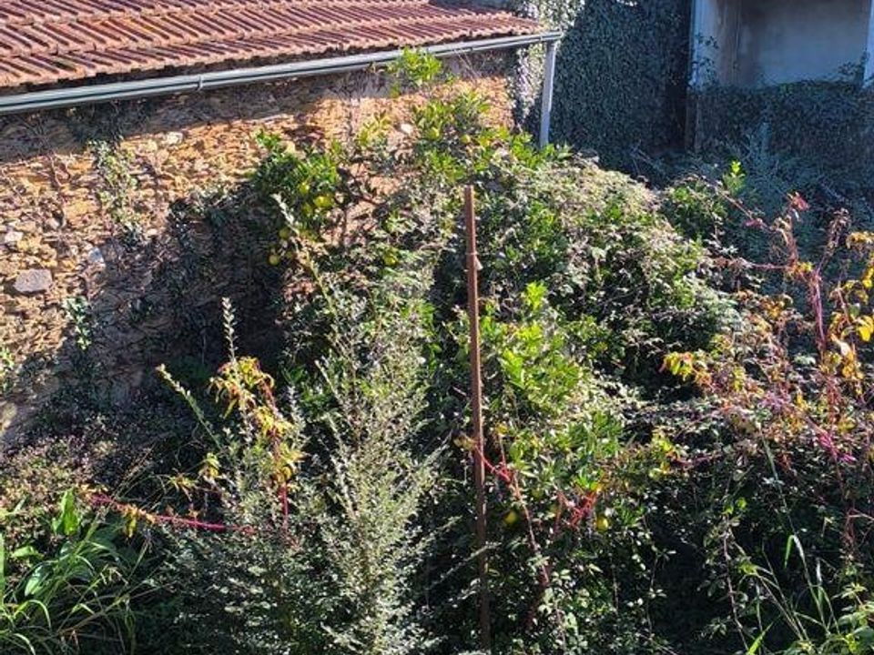 Rekkehus i Oliveira de Azemeis, Aveiro - bilde 3
