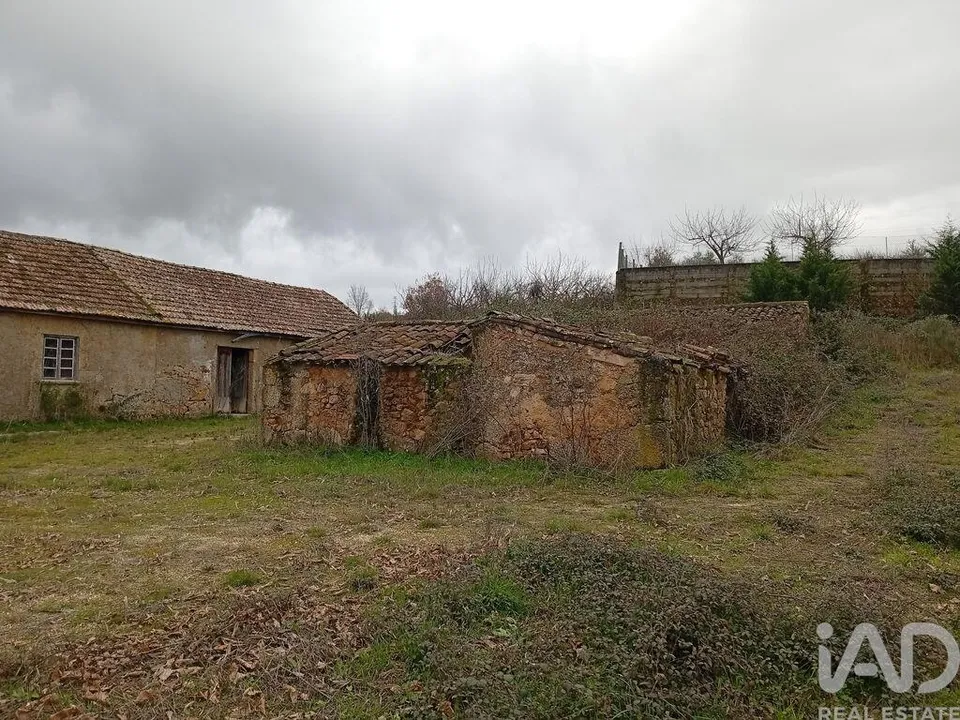 Farm i Covilha, Castelo Branco - foto 2