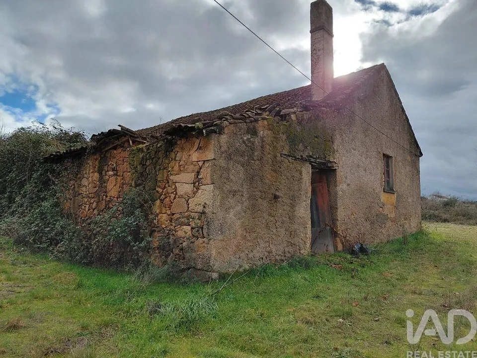 Farm i Covilha, Castelo Branco - foto 3