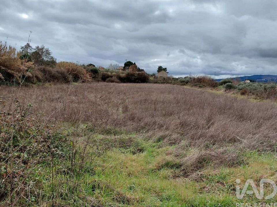Farm i Covilha, Castelo Branco - foto 4