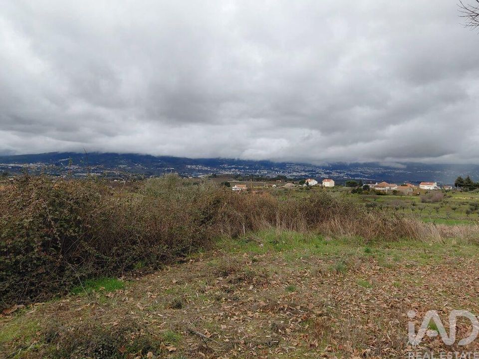 Farm i Covilha, Castelo Branco - foto 5