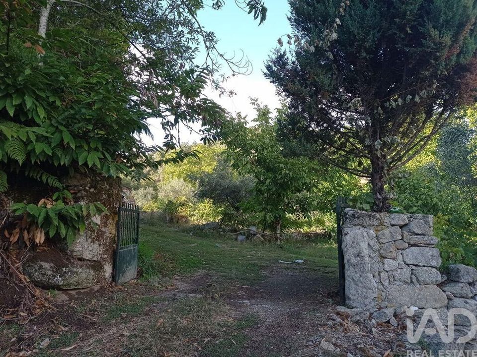 Tomt i Tabuaco, Viseu - bilde 3