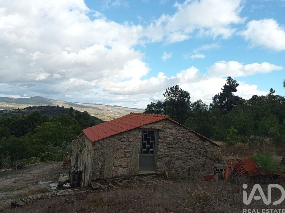 Tomt i Tabuaco, Viseu - bilde 4