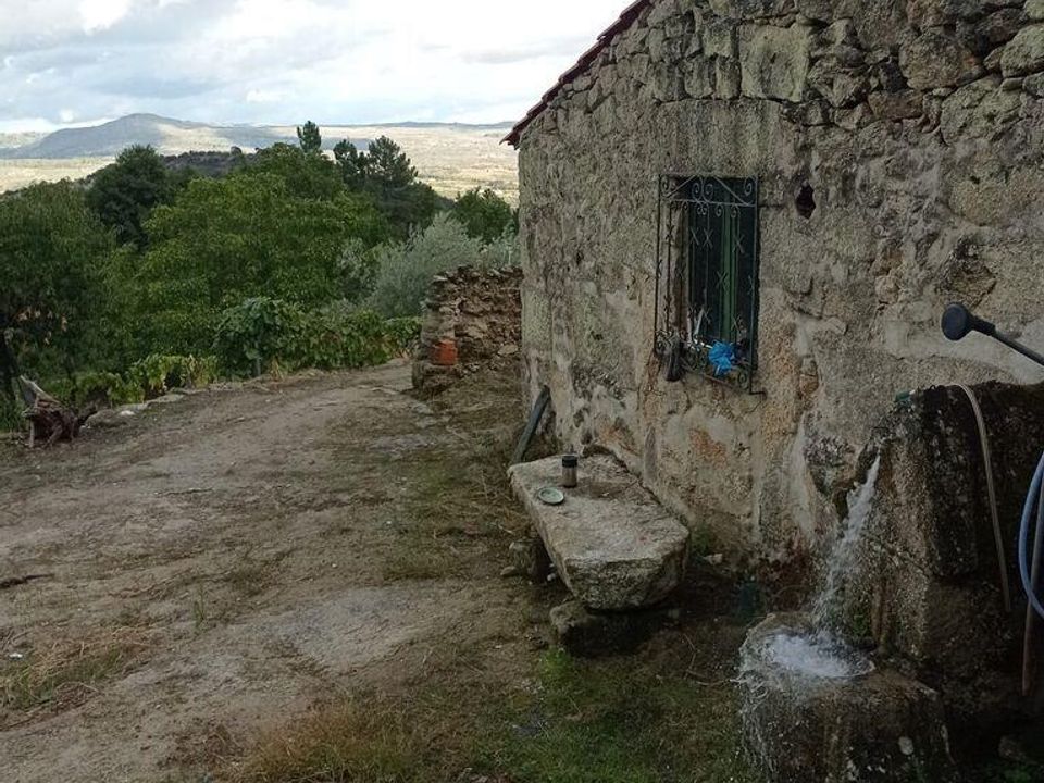 Tomt i Tabuaco, Viseu - bilde 1