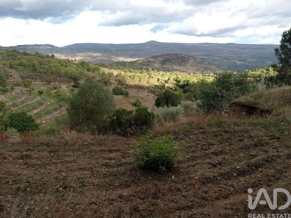 Tomt i Tabuaco, Viseu - bilde 5
