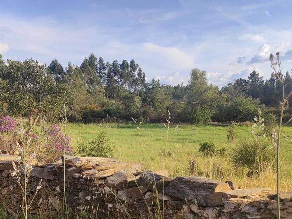 Farm i Castelo Branco, Castelo Branco - foto 2