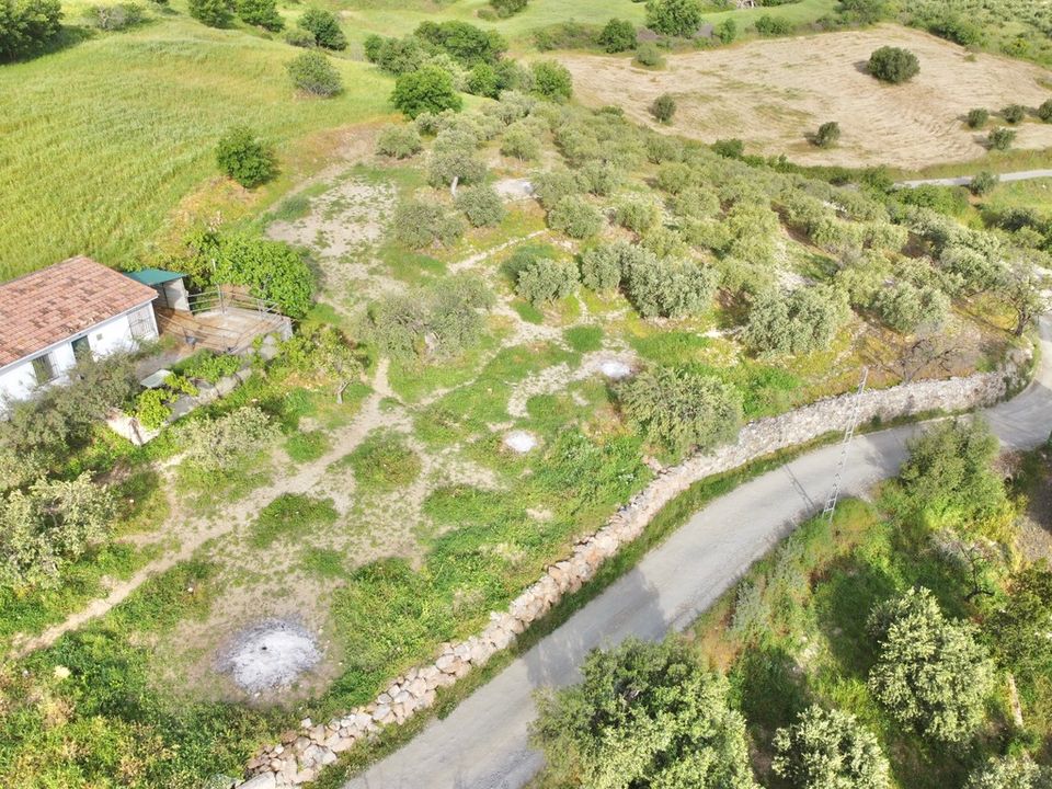 Finca i Casarabonela, Malaga - foto 5