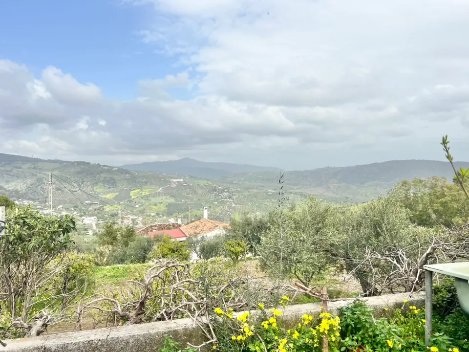 Finca i Casarabonela, Malaga - foto 3