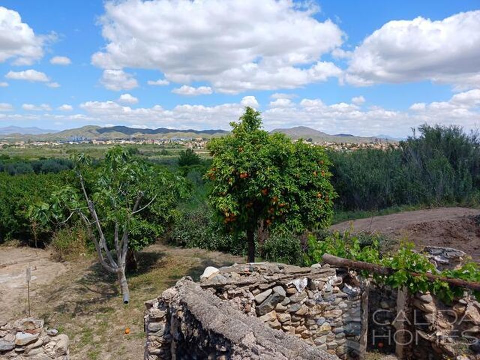 Herregård i Arboleas, Almeria - bilde 5