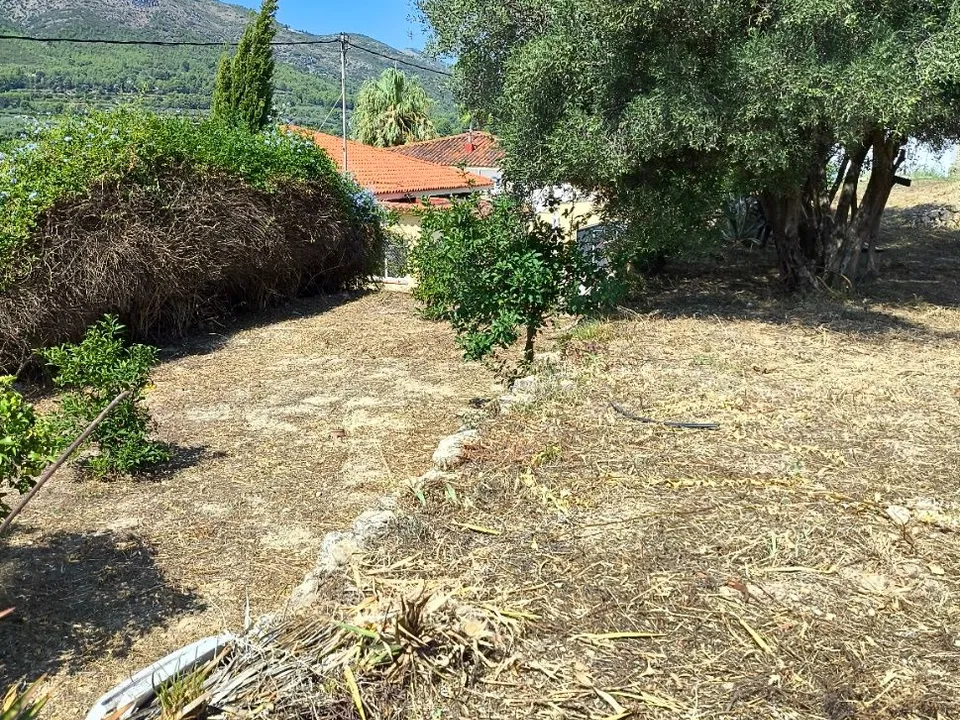 Helårsgrund i Parcent, Alicante - foto 3