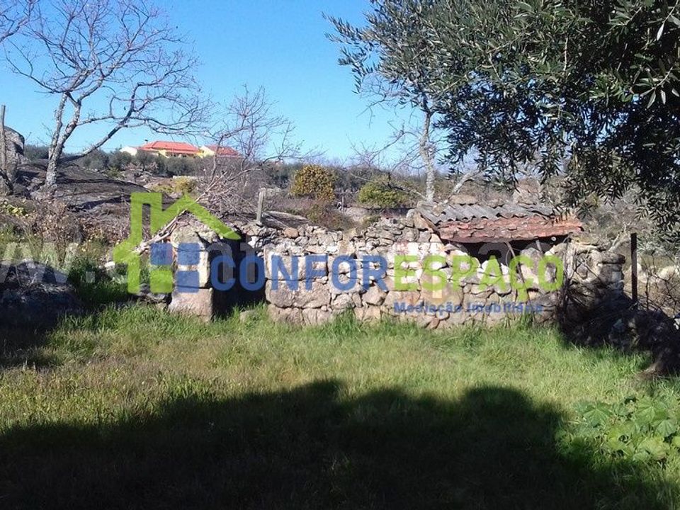 Landejendom i Castelo Branco, Castelo Branco - foto 1