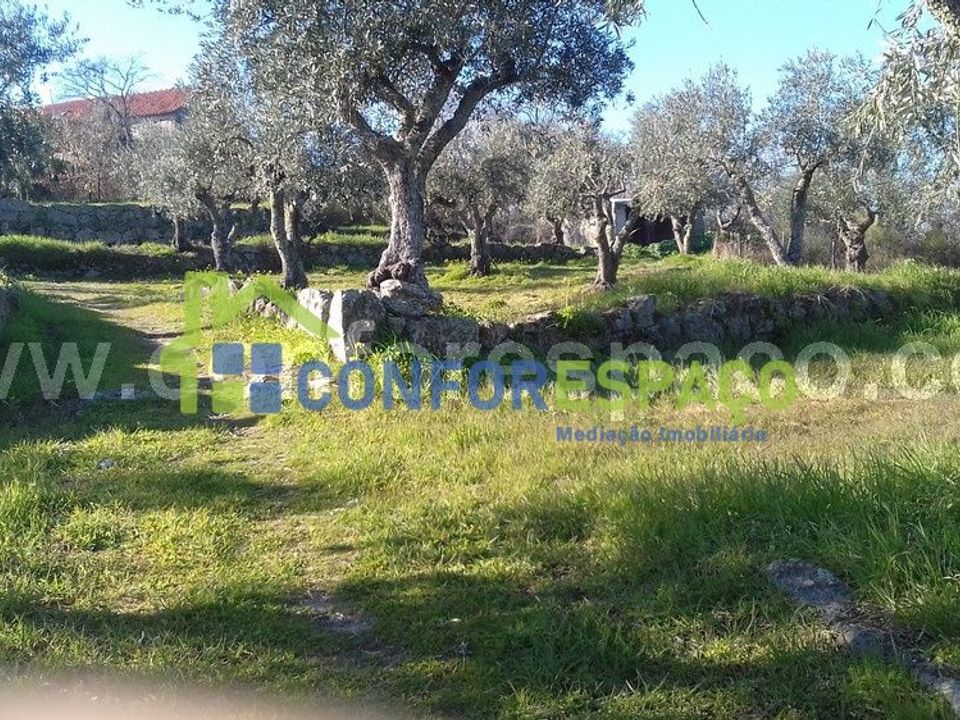Landejendom i Castelo Branco, Castelo Branco - foto 2