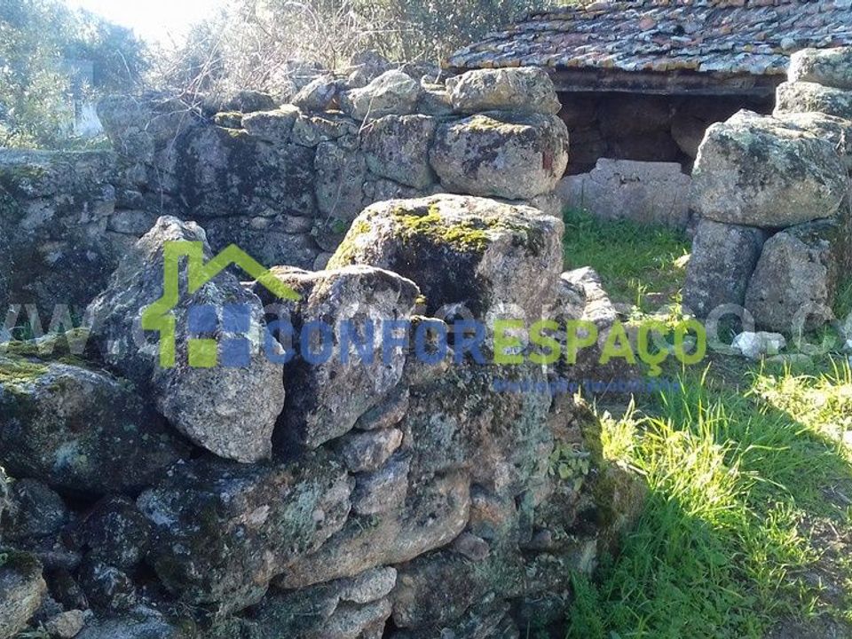 Landejendom i Castelo Branco, Castelo Branco - foto 4