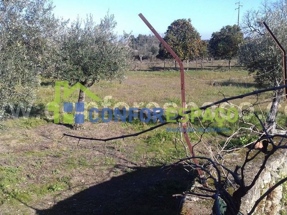Landejendom i Castelo Branco, Castelo Branco - foto 5