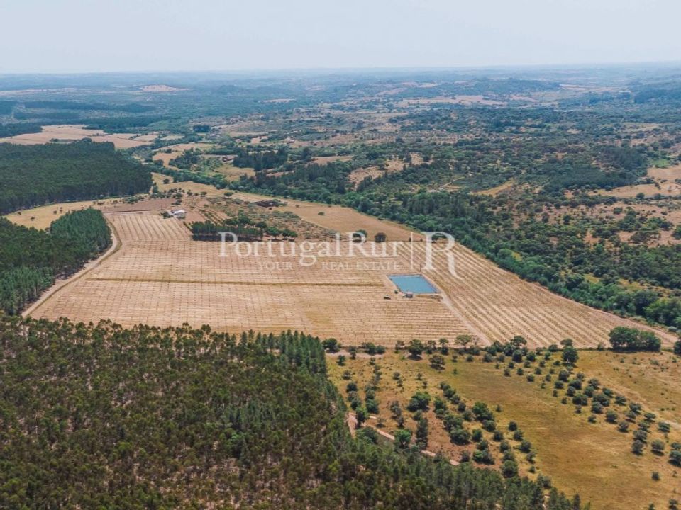 Farm i Penamacor, Castelo Branco - foto 2