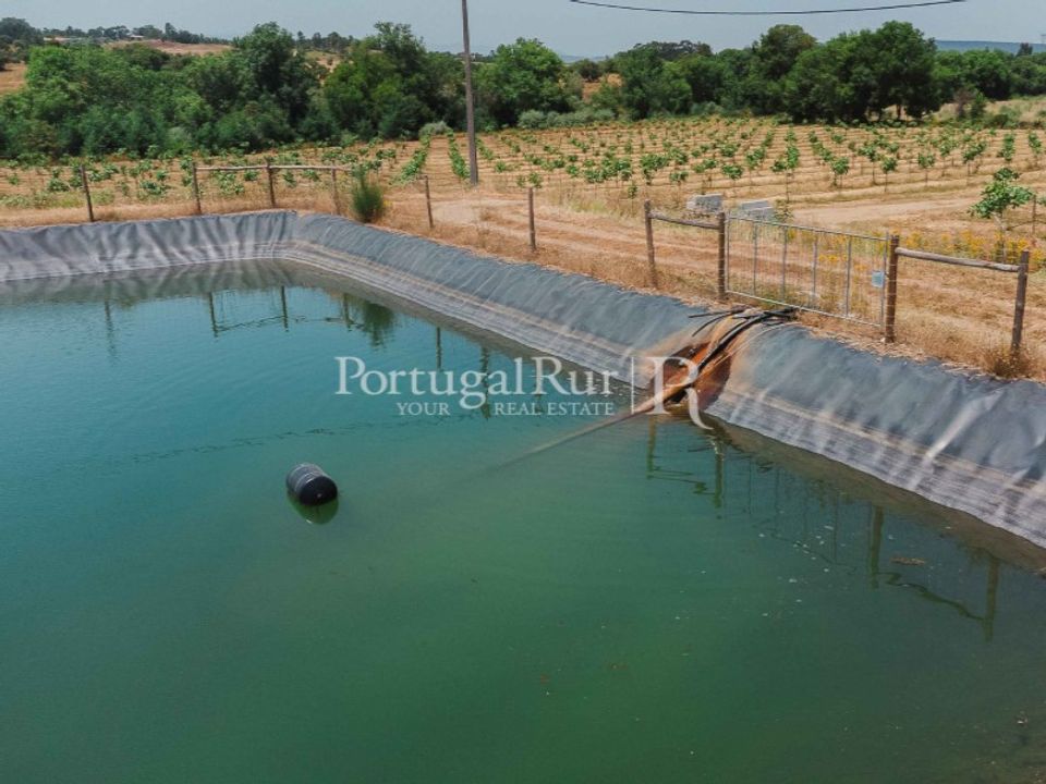 Farm i Penamacor, Castelo Branco - foto 4