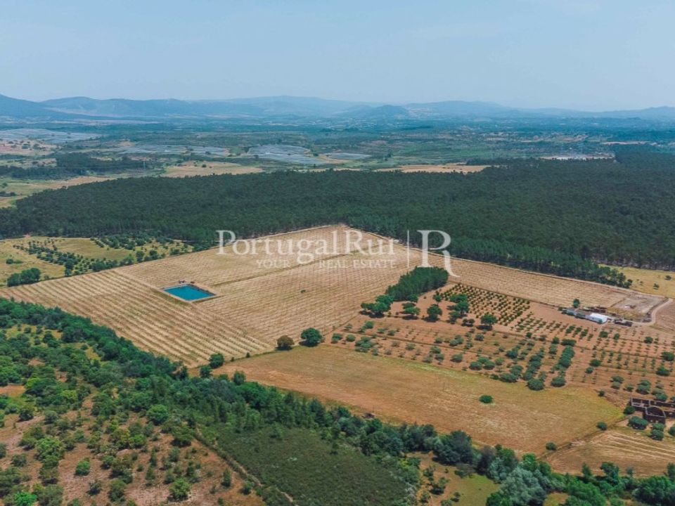 Farm i Penamacor, Castelo Branco - foto 5