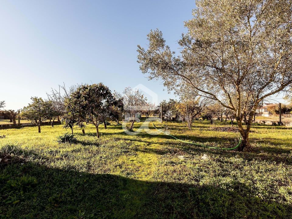 Farm hus i Evora, Evora - foto 4