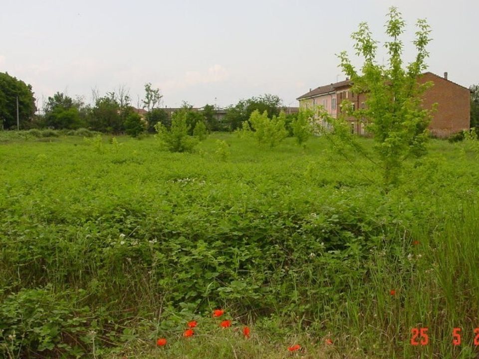 Helårsgrund i Alessandria, Alessandria - foto 3