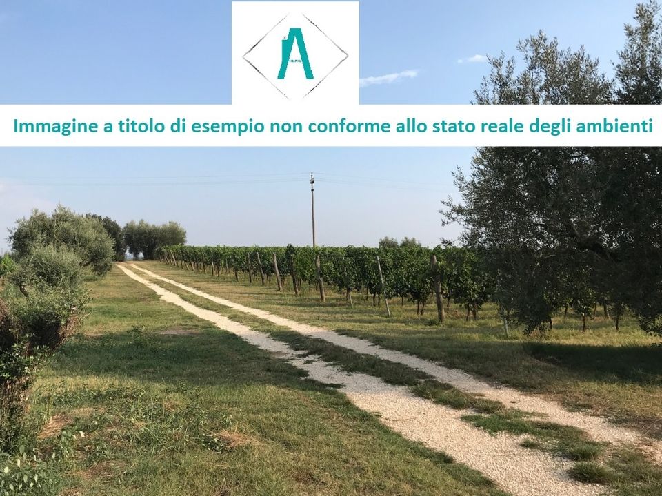 Helårsgrund i Alessandria, Alessandria - foto 5