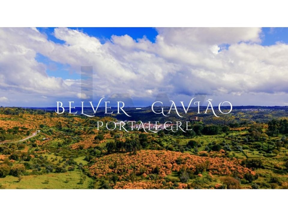 Terra a Gaviao, Portalegre - foto 1
