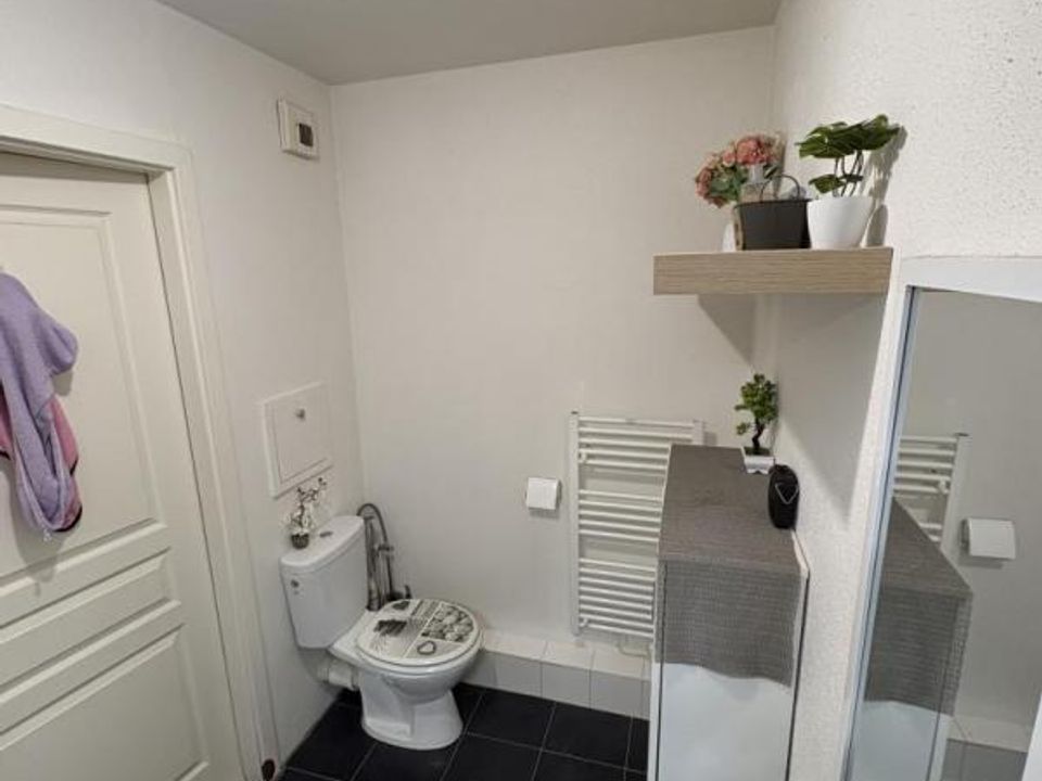 Studio in Illkirch-Graffenstaden, Bas-Rhin - photo 4