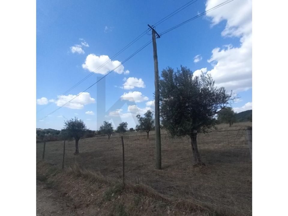 Helårsgrund i Montemor-o-Novo, Evora - foto 5
