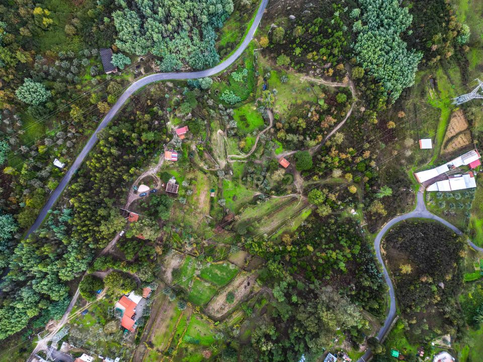Farm hus i Covas e Vila Nova de Oliveirinha, Coimbra - foto 4