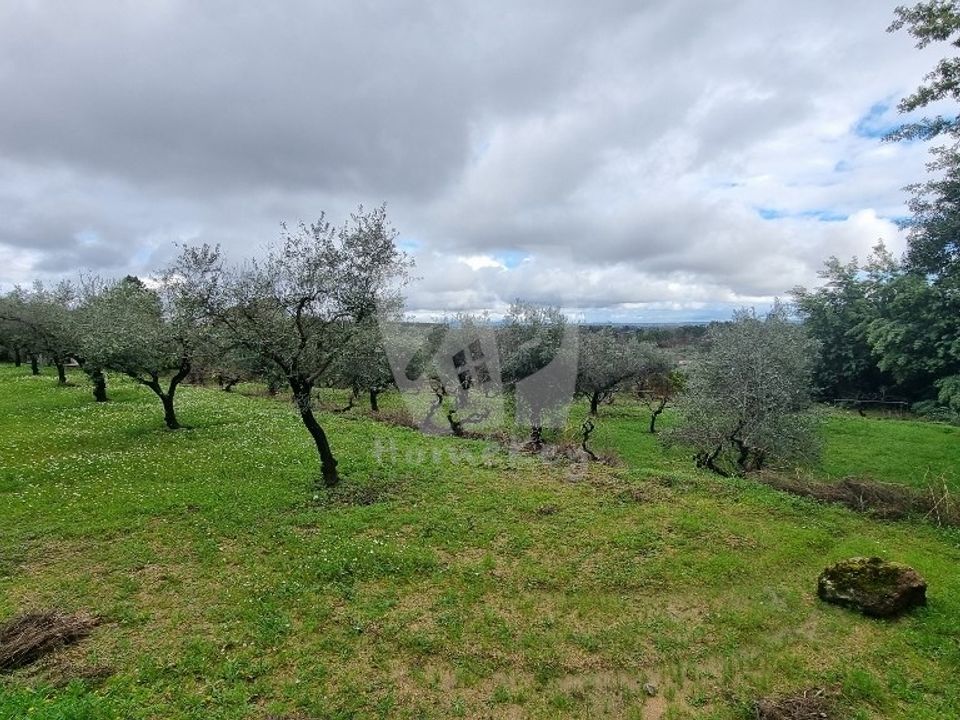 Helårsgrund i Fundao, Castelo Branco - foto 2