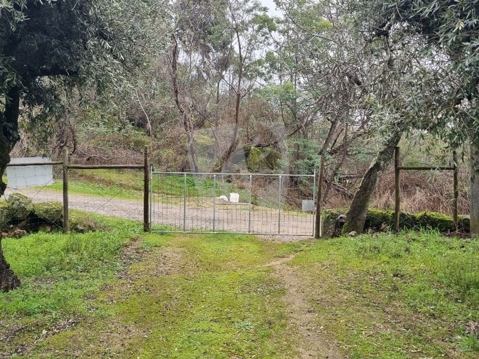 Helårsgrund i Fundao, Castelo Branco - foto 3