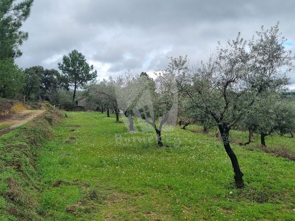Helårsgrund i Fundao, Castelo Branco - foto 4