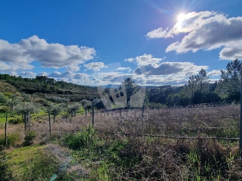 Helårsgrund i Castelo Branco, Castelo Branco - foto 4