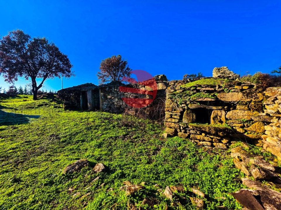 Farm i Longroiva, Guarda - foto 4