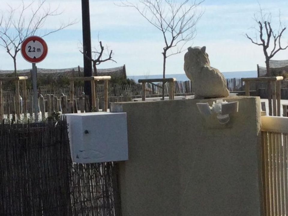 Villa i Saint-Cyprien, Pyrenees-Orientales - foto 4