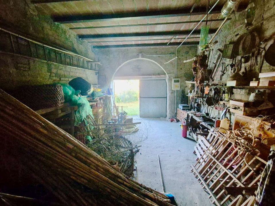 Villa i Peccioli, Pisa - foto 3