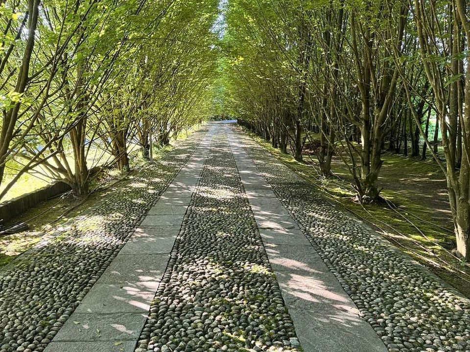 Landejendom i Nizza Monferrato, Asti - foto 4