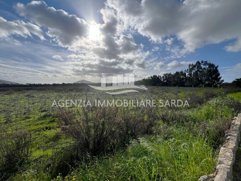 Erhvervsejendom i Alghero, Sassari - foto 2