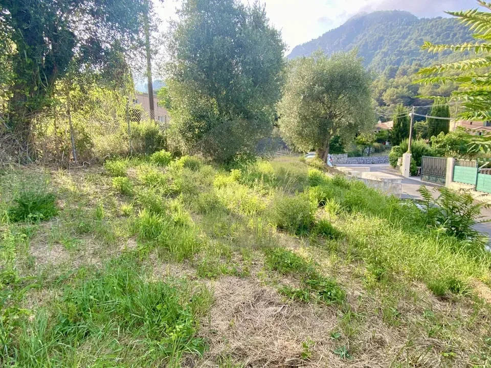 Helårsgrund i Gorbio, Alpes-Maritimes - foto 2