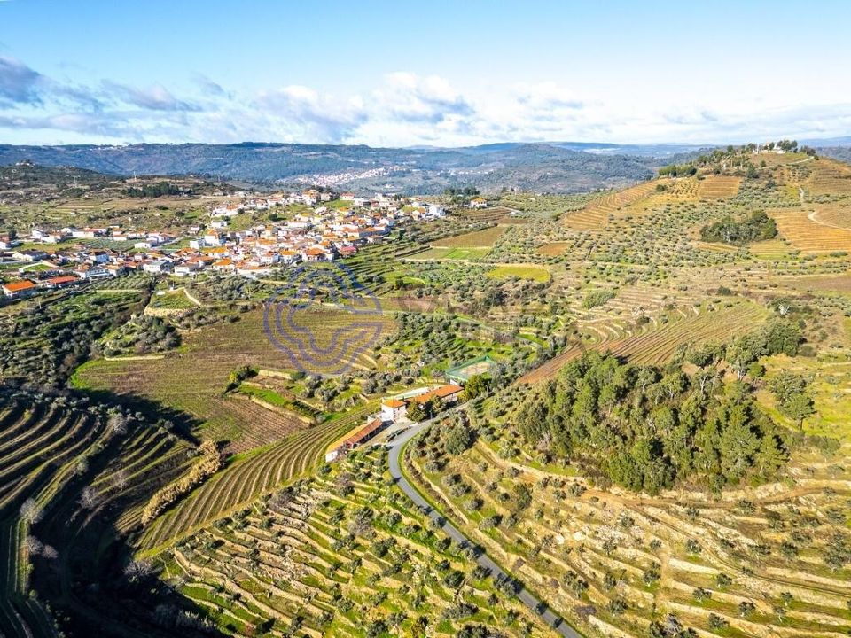 Gård i Alijo, Vila Real - bilde 1