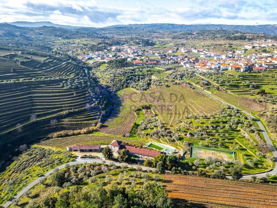 Gård i Alijo, Vila Real - bilde 2
