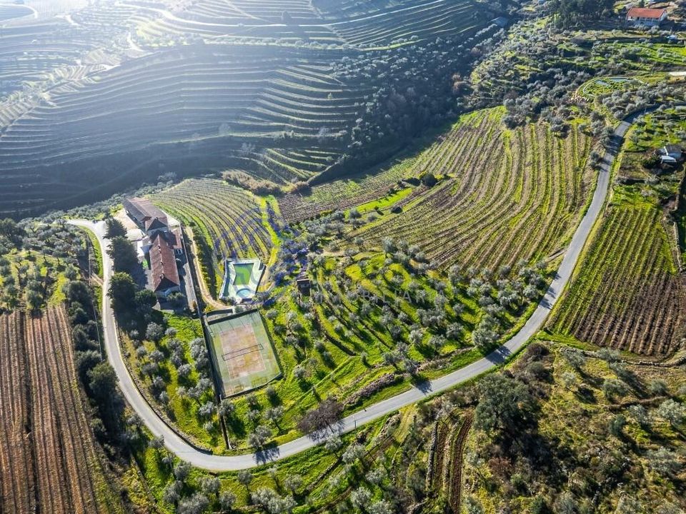 Gård i Alijo, Vila Real - bilde 3