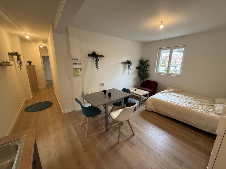 Studio i Strasbourg, Bas-Rhin - bilde 2