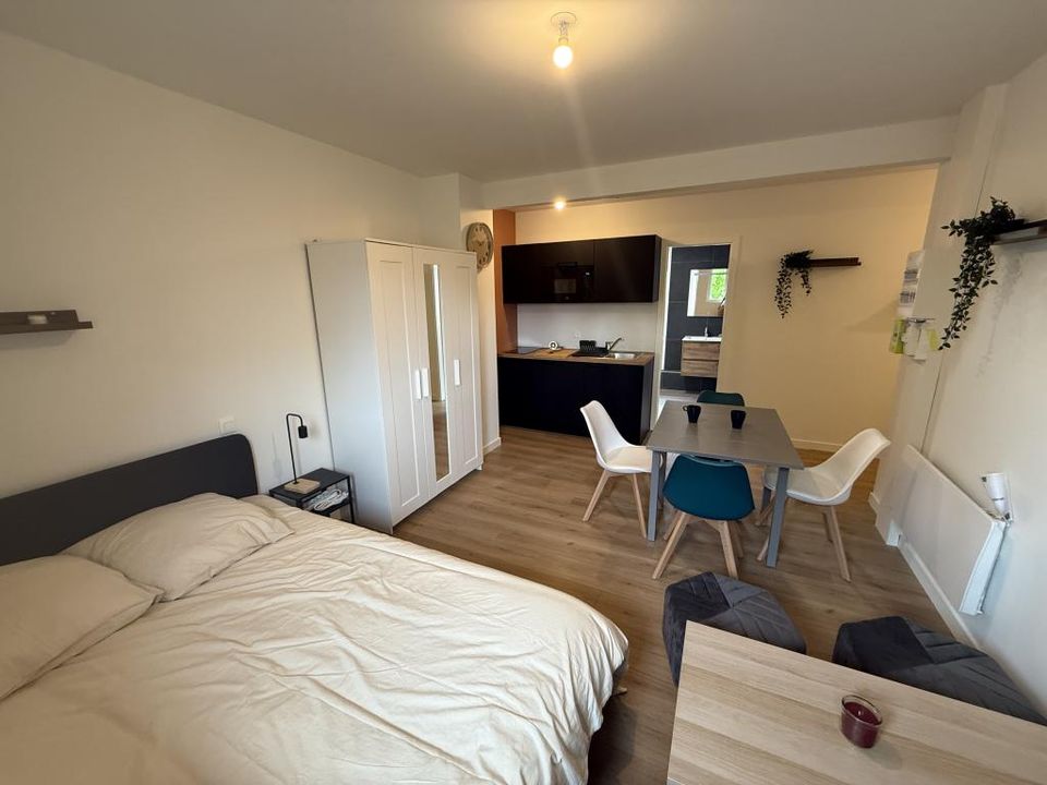 Studio i Strasbourg, Bas-Rhin - bilde 3