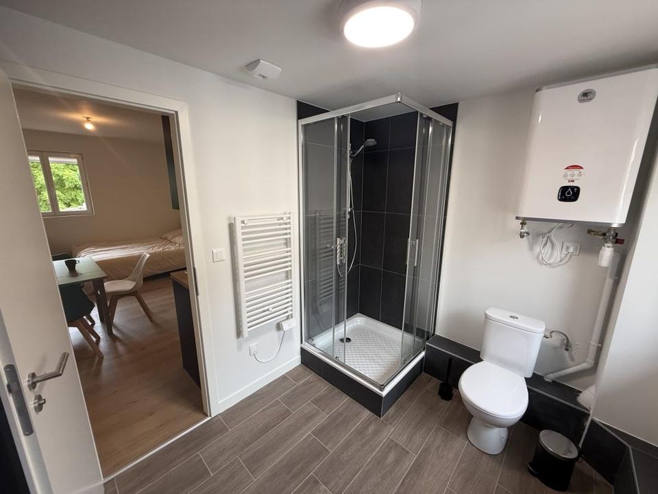 Studio i Strasbourg, Bas-Rhin - bilde 5