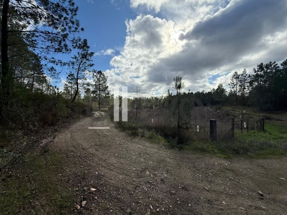 Helårsgrund i Castelo Branco, Castelo Branco - foto 4